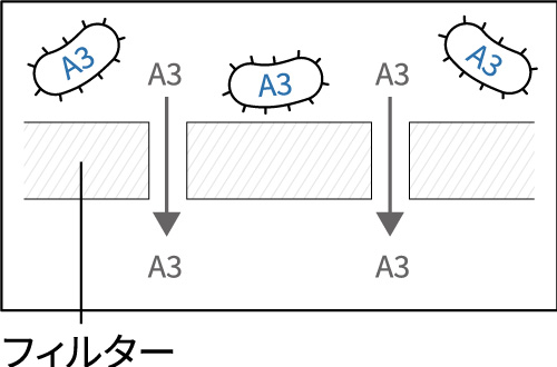 画像の説明テキスト