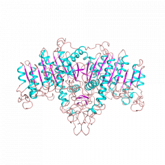 Alkaline Phosphataseアルカリホスファターゼ