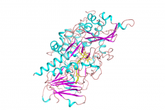 Glucose Dehydrogenase (FADGDH-AA)