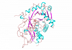 Fructosyl-peptide Oxidase (FPOX-CET)