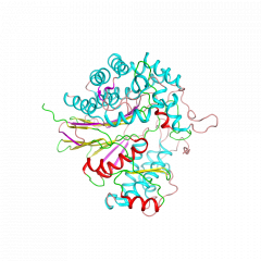 Glutaminase