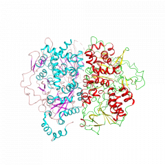 Glutamate Oxidase谷氨酸氧化酶